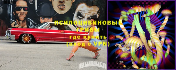 PSILOCYBIN Нягань