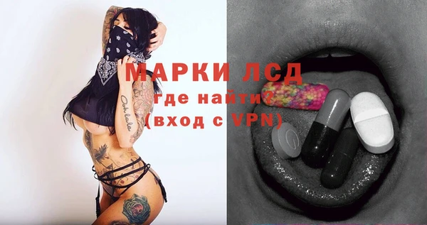 прущие грибы Нязепетровск