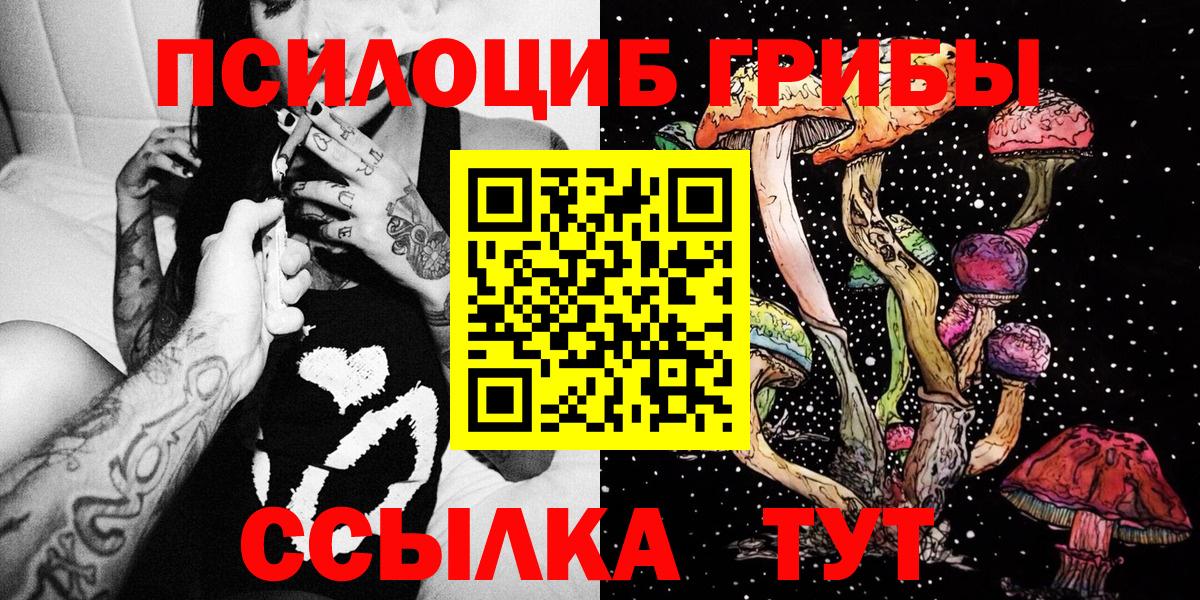 Апрелевка  Псилоцибиновые грибы Psilocybine cubensis  Галлюциногенные грибы Psilocybine cubensis  как найти наркотики  Вход с VPN 